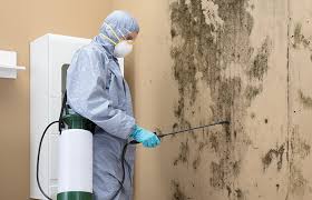 Best Residential Mold Inspection & Testing  in North Spearfish, SD